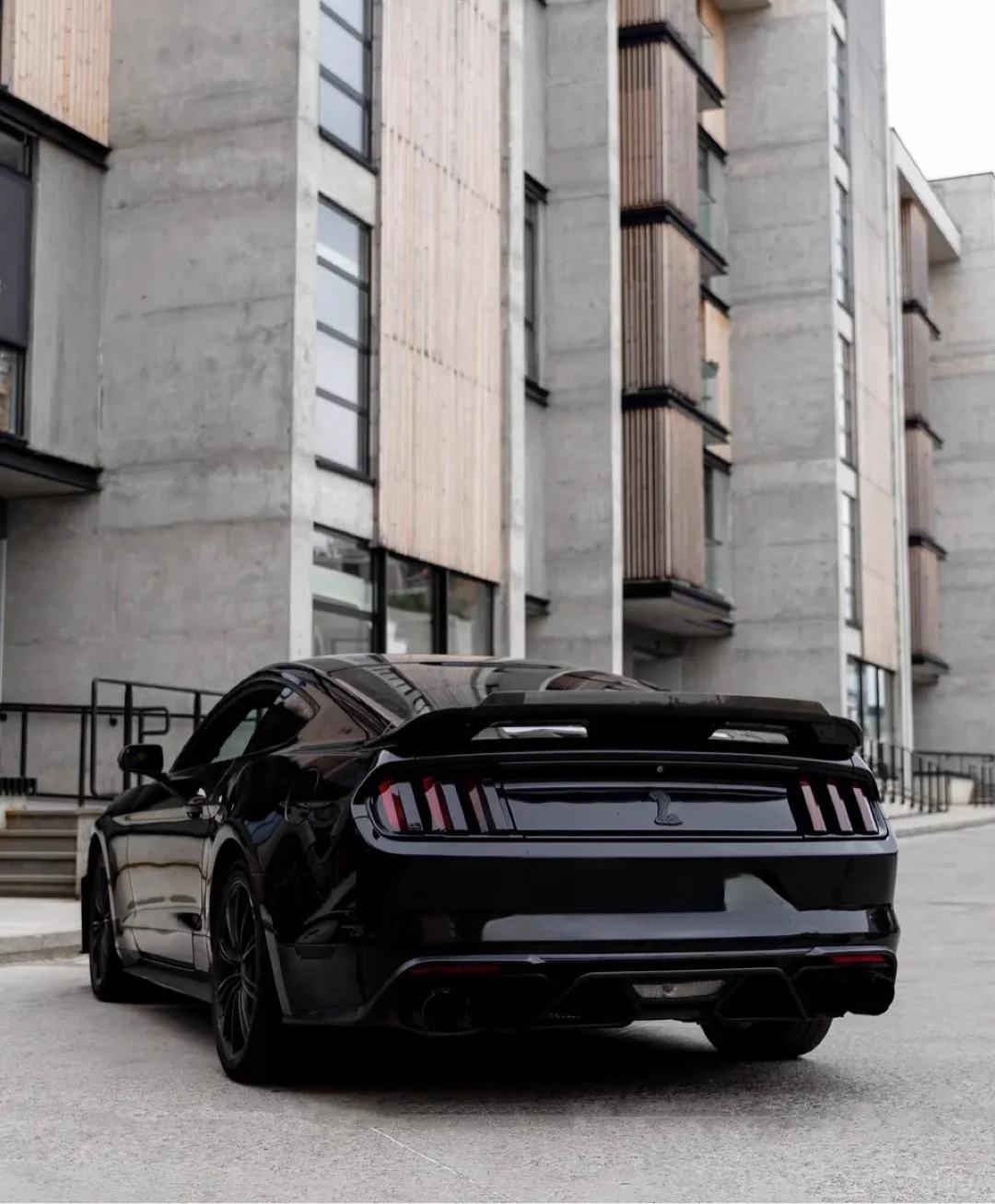 Ford Mustang Shelby 2