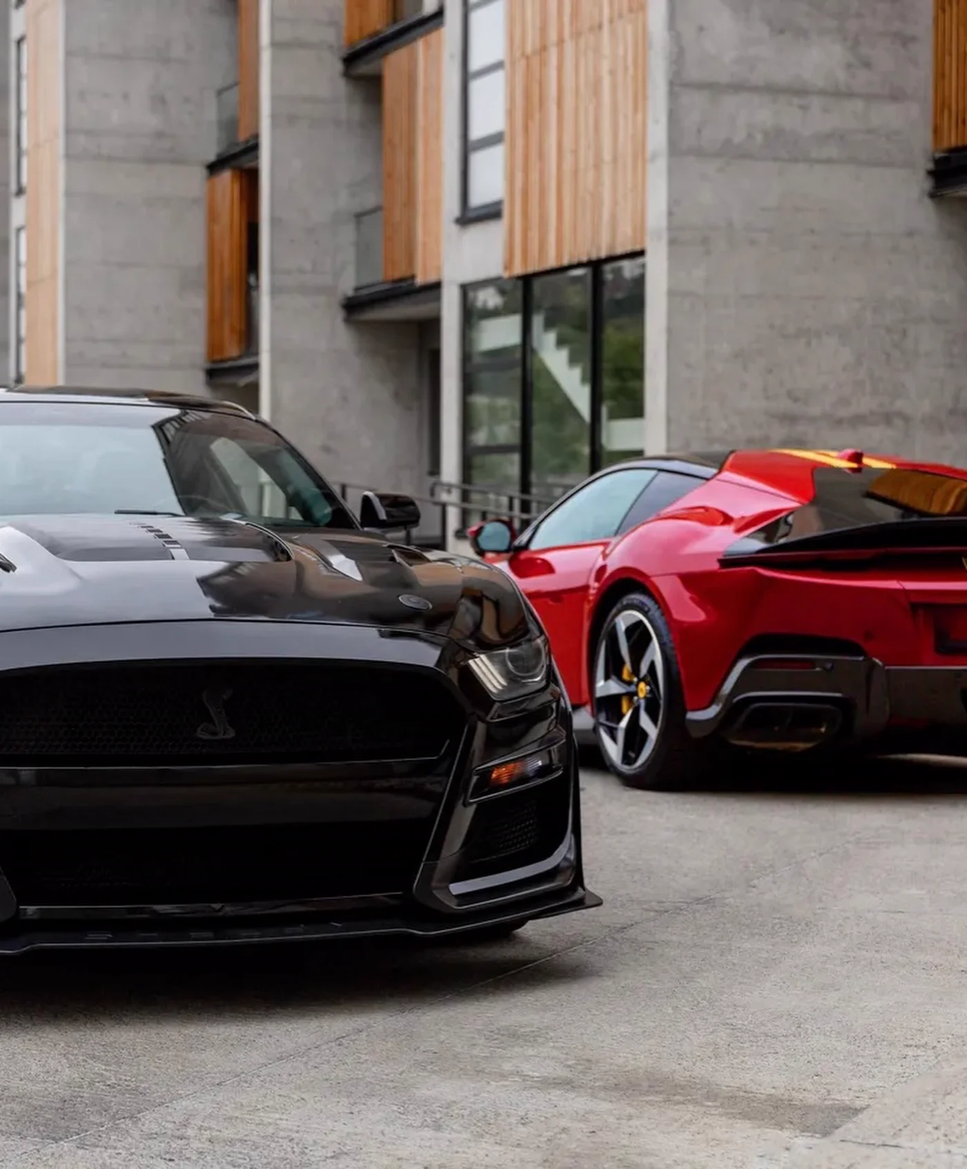 Ford Mustang Shelby 4