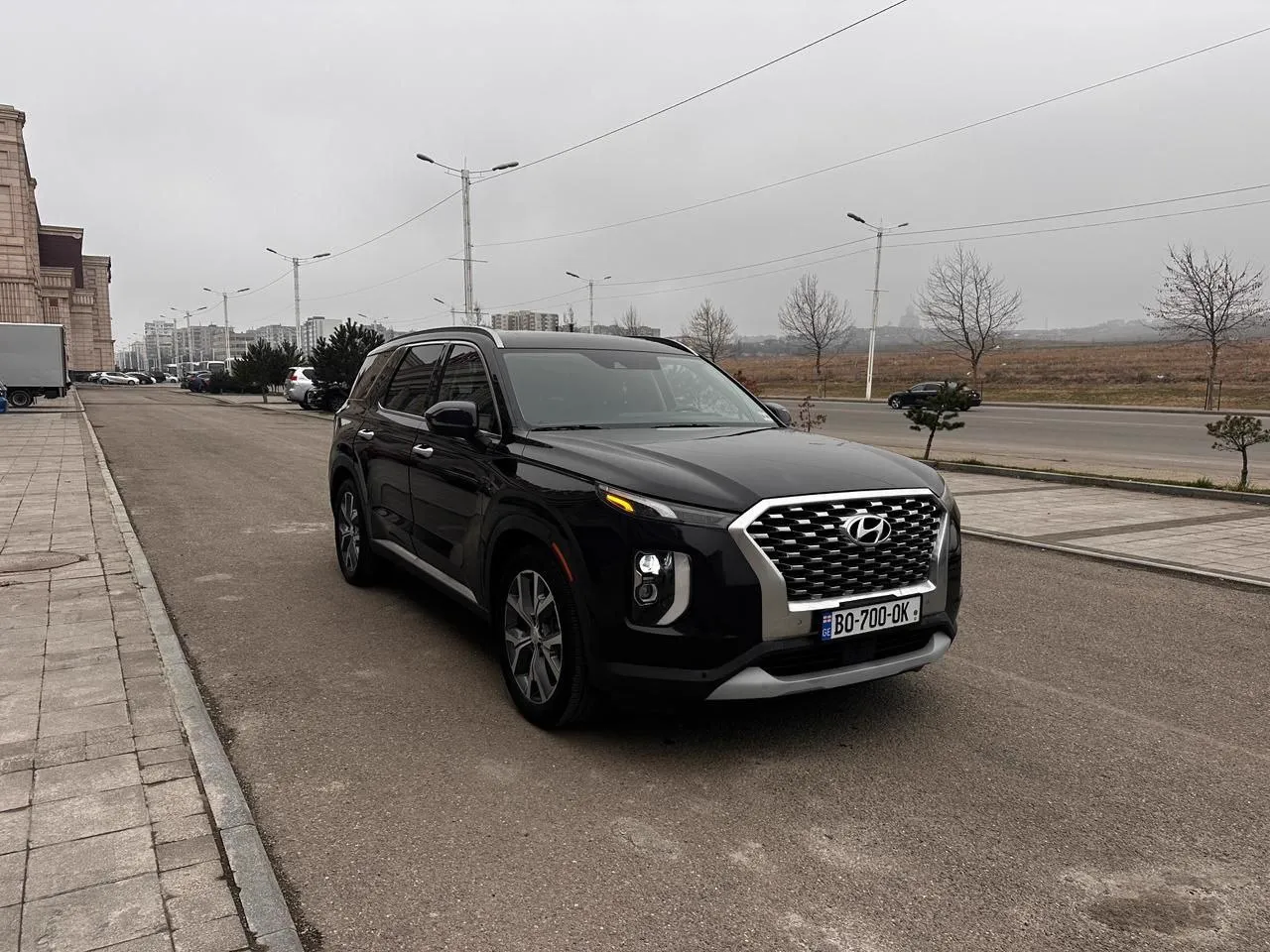 Hyundai Palisade 3